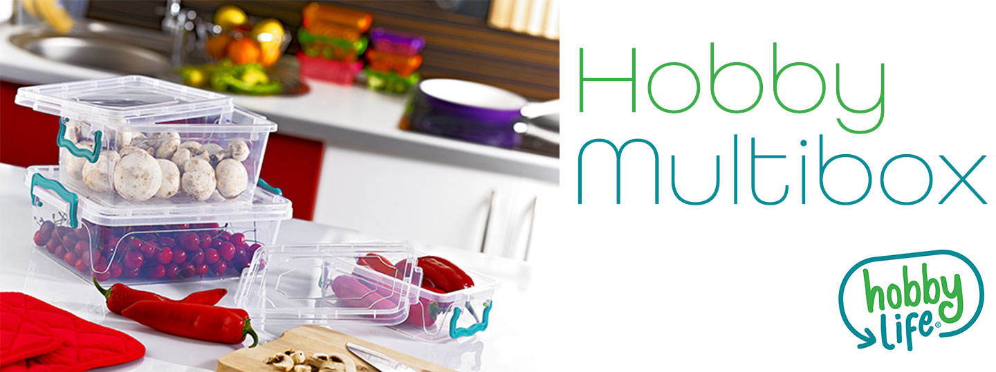 Hobby Life Multibox containers